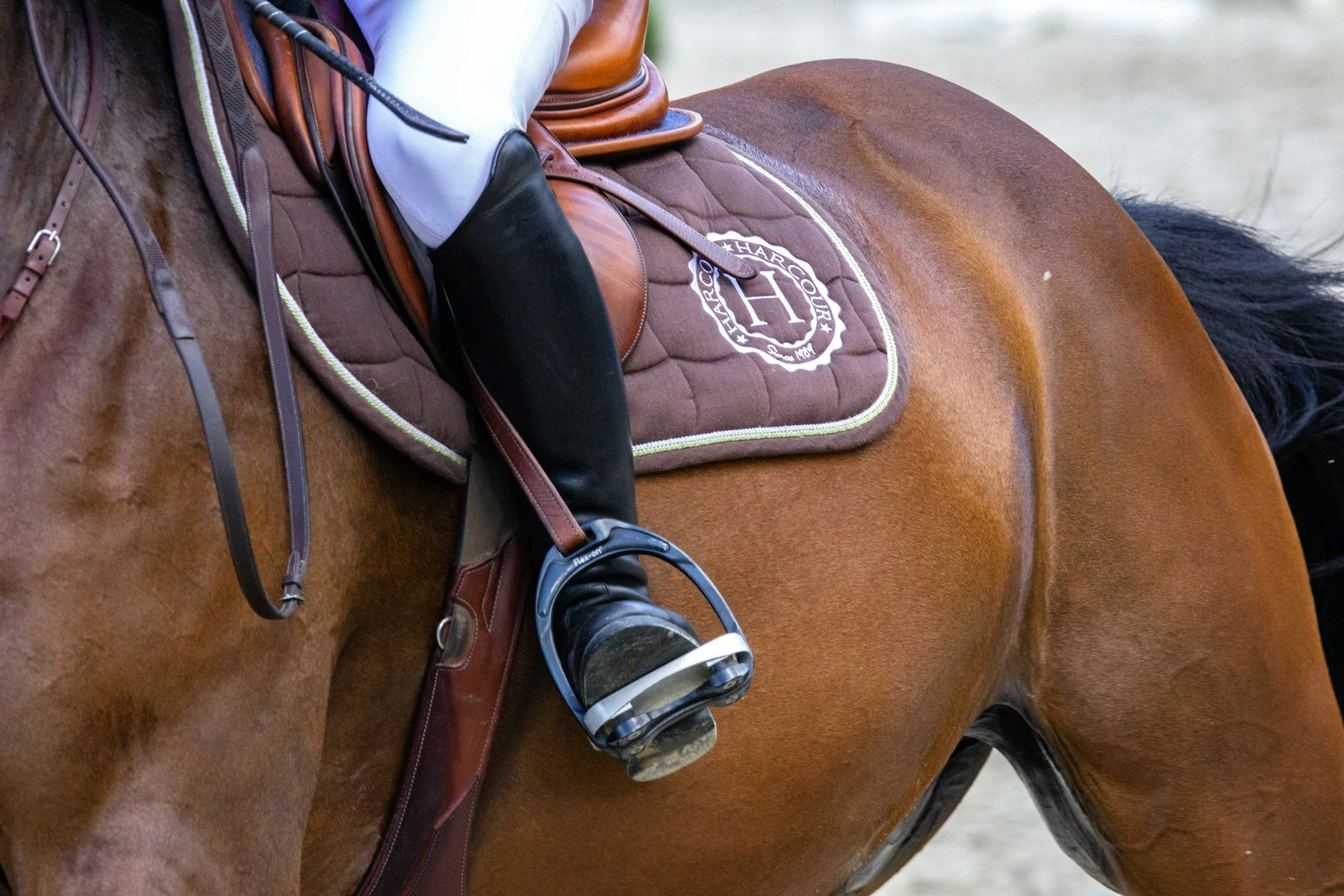 Détail de la selle et de l’équipement du cavalier
